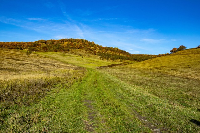 Lush green pathway through rolling hills under a bright blue sky, with autumn foliage clinging to the distant trees.